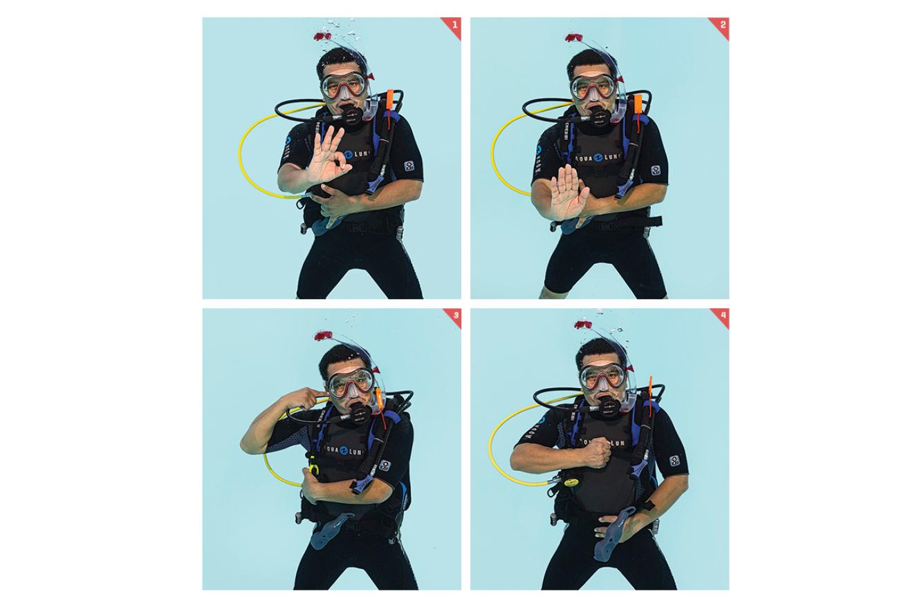 Underwater Hand Signals