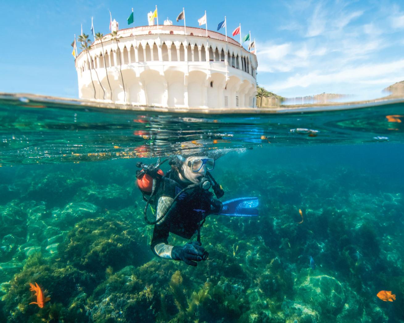 Catalina Island Scuba Diving