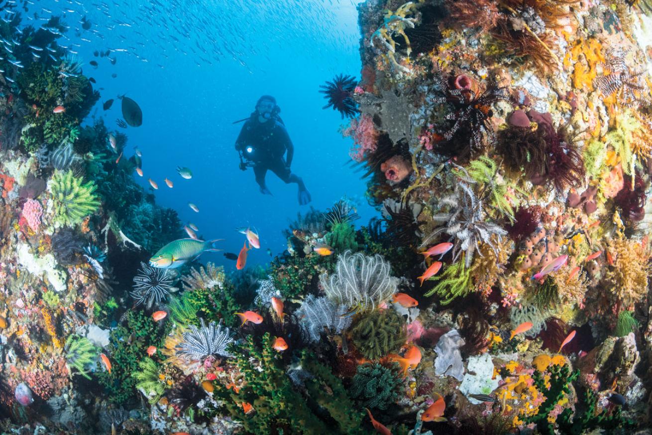 Komodo National Park