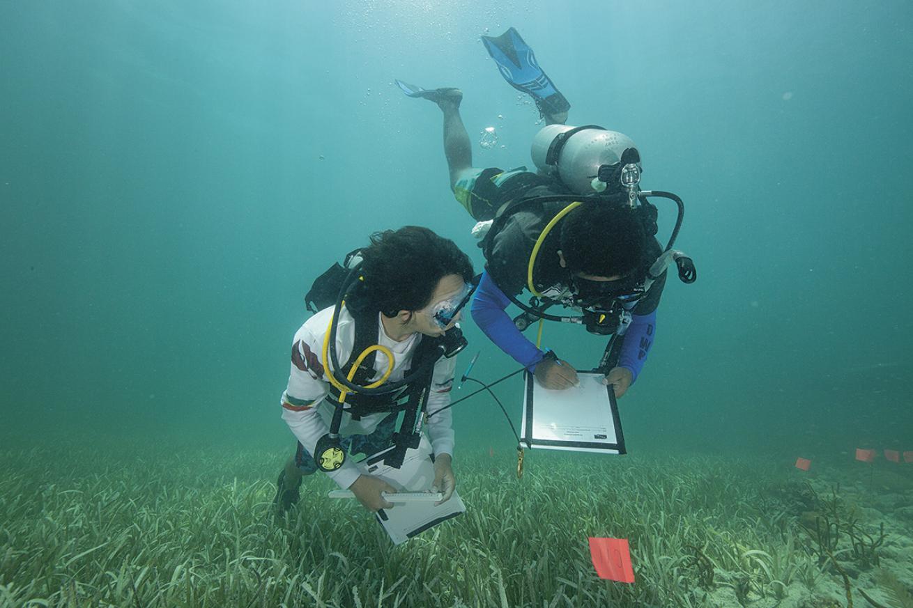 Youth Diving With a Purpose Students Underwater