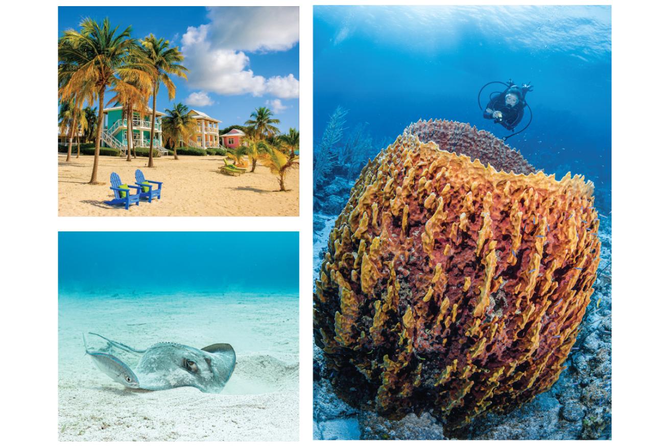 Little Cayman Scuba Diving