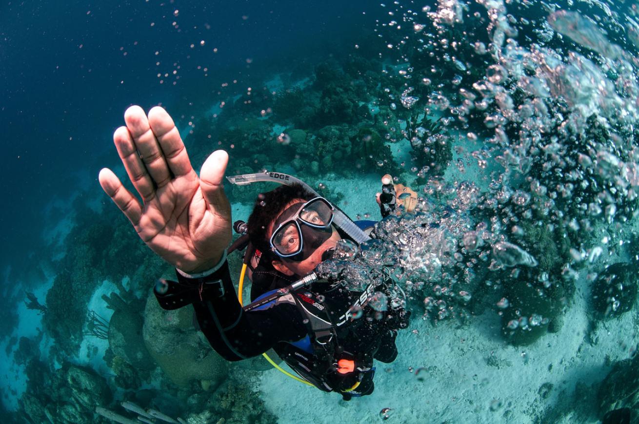 Scuba Diver Emergency Ascent