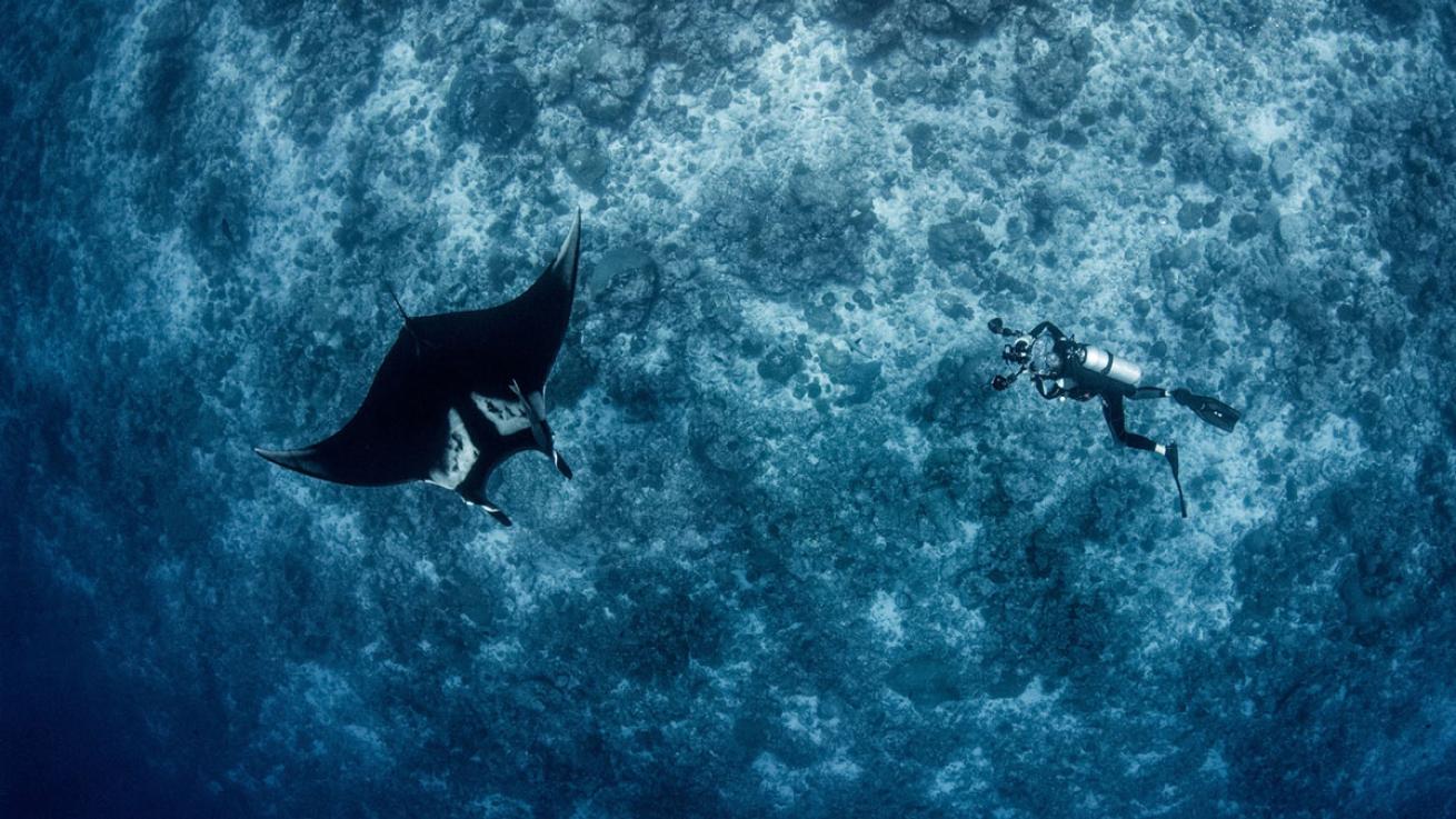 Four Seasons Explorer Manta