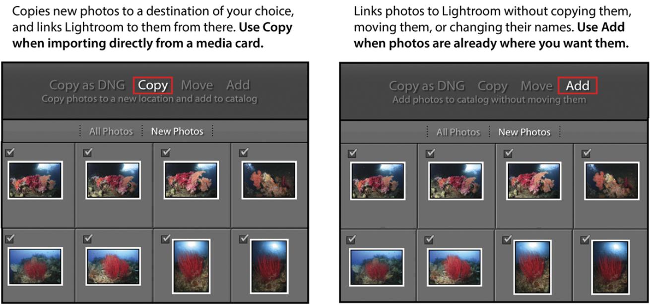 Lightroom Mistakes