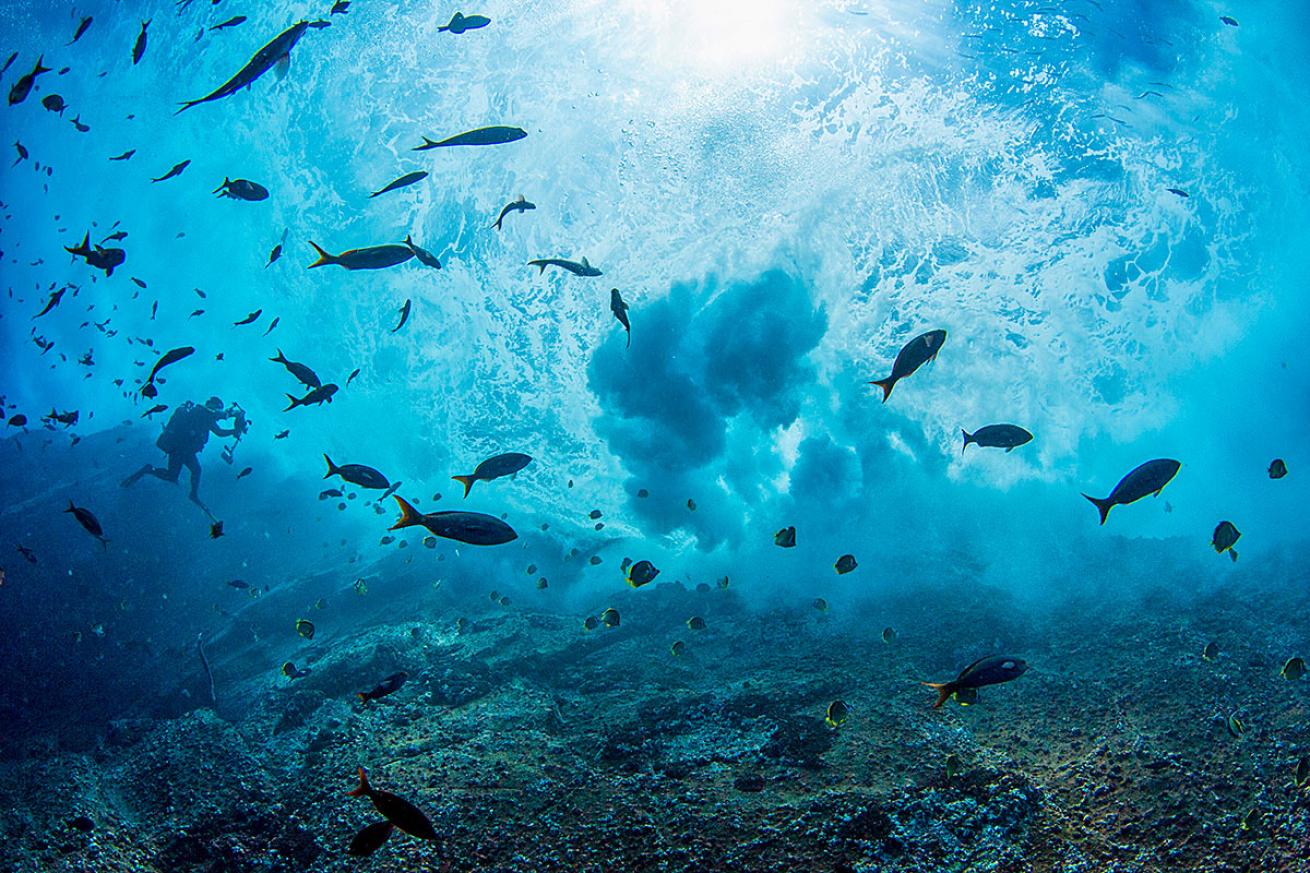 Underwater Dive in Socorro