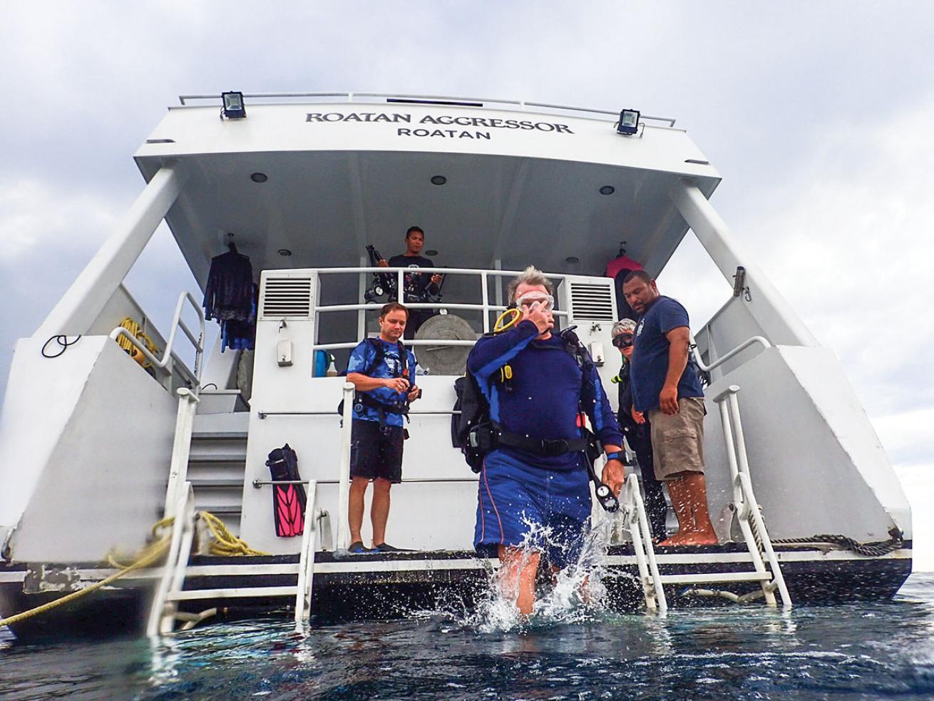 Dive Giant Stride Roatan Aggresor