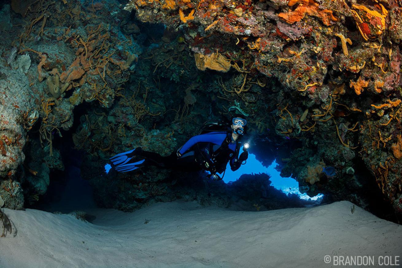 Santa Rosa Dive Site Cozumel