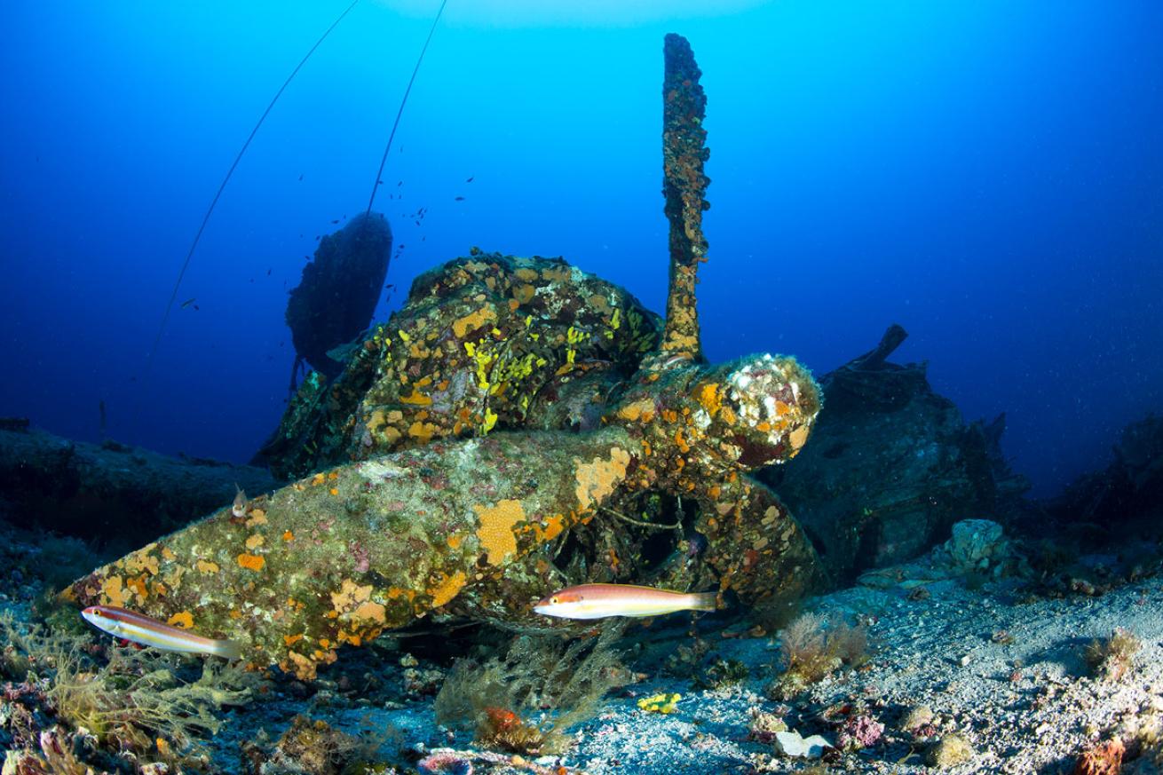 B-24 Liberator Underwater
