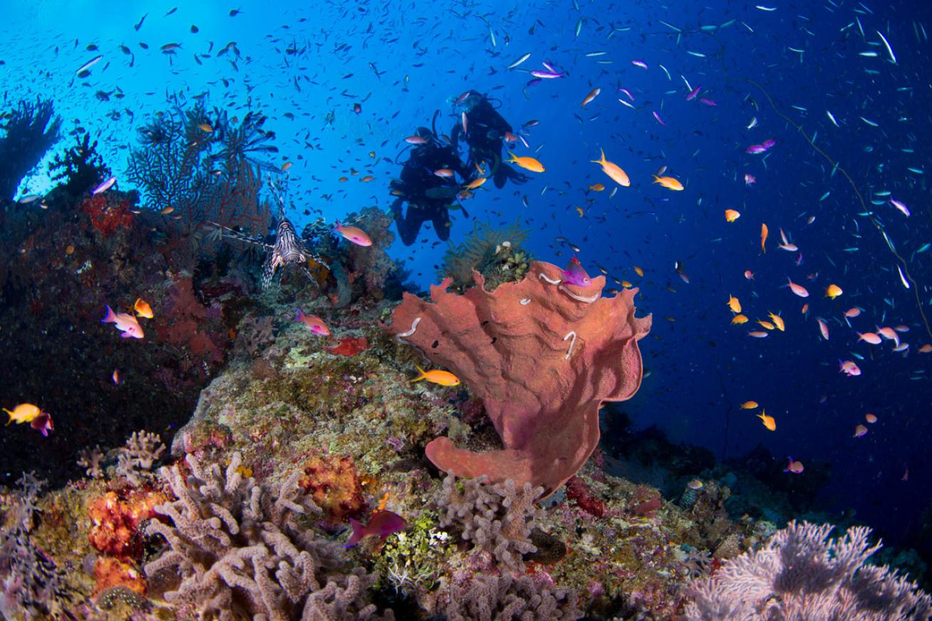 Great Barrier Reef