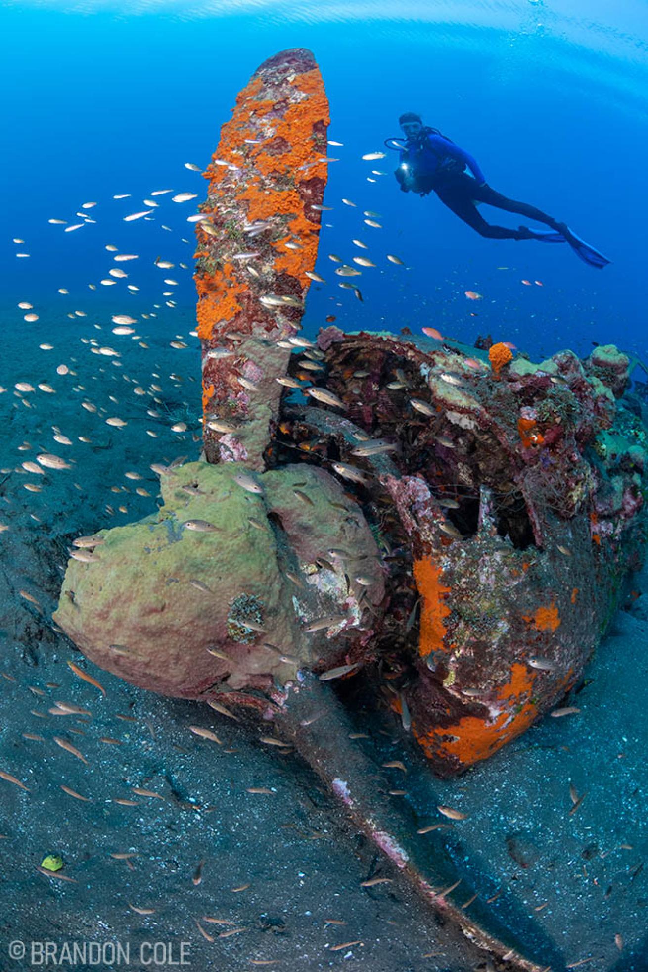 Diving Japanese Zero Plane in Solomon Islands 