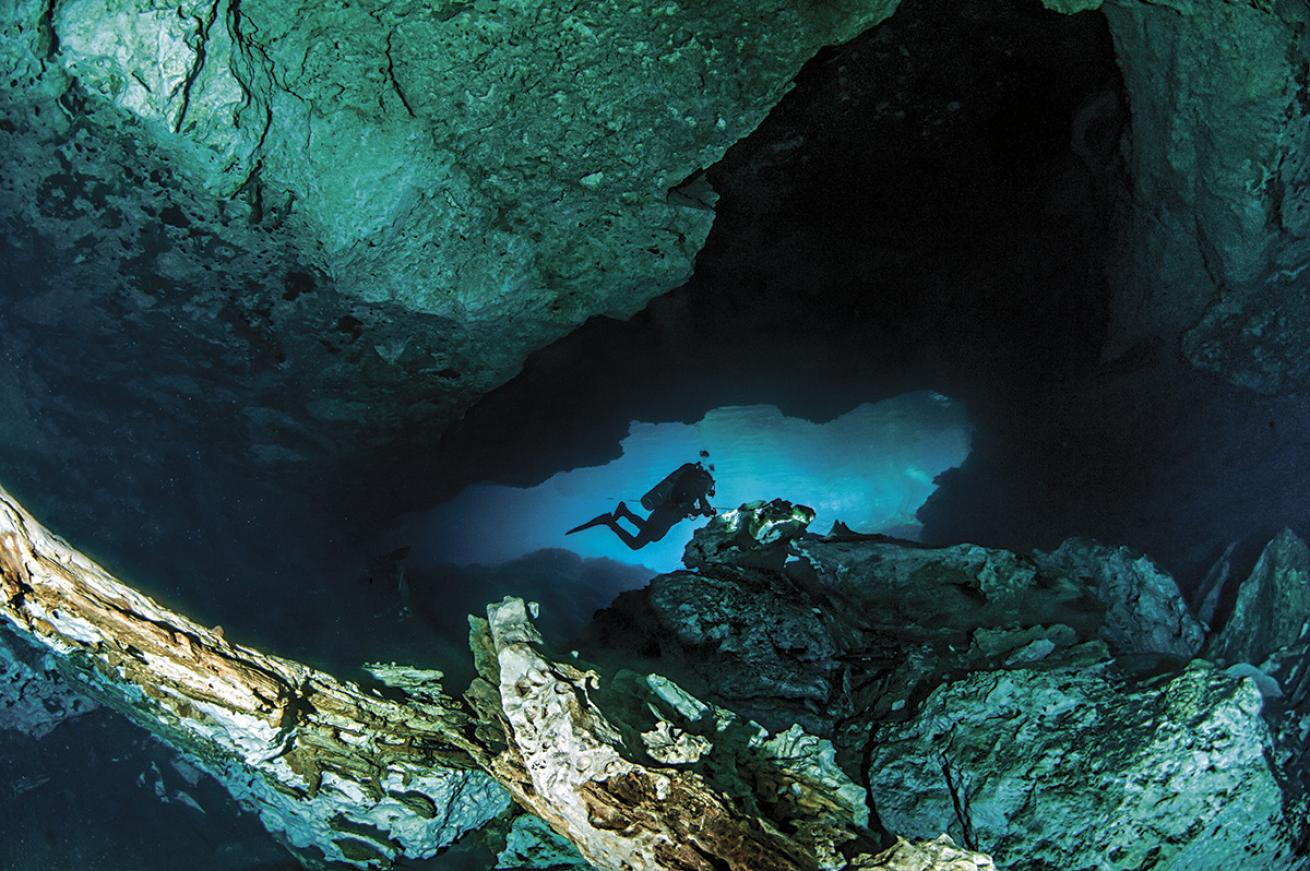 Diver in a Mexican cenote