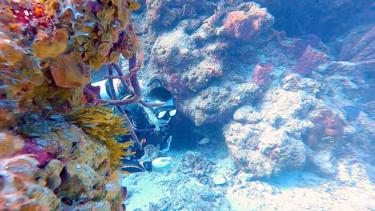 Scuba Diver in Cozumel Mexico 