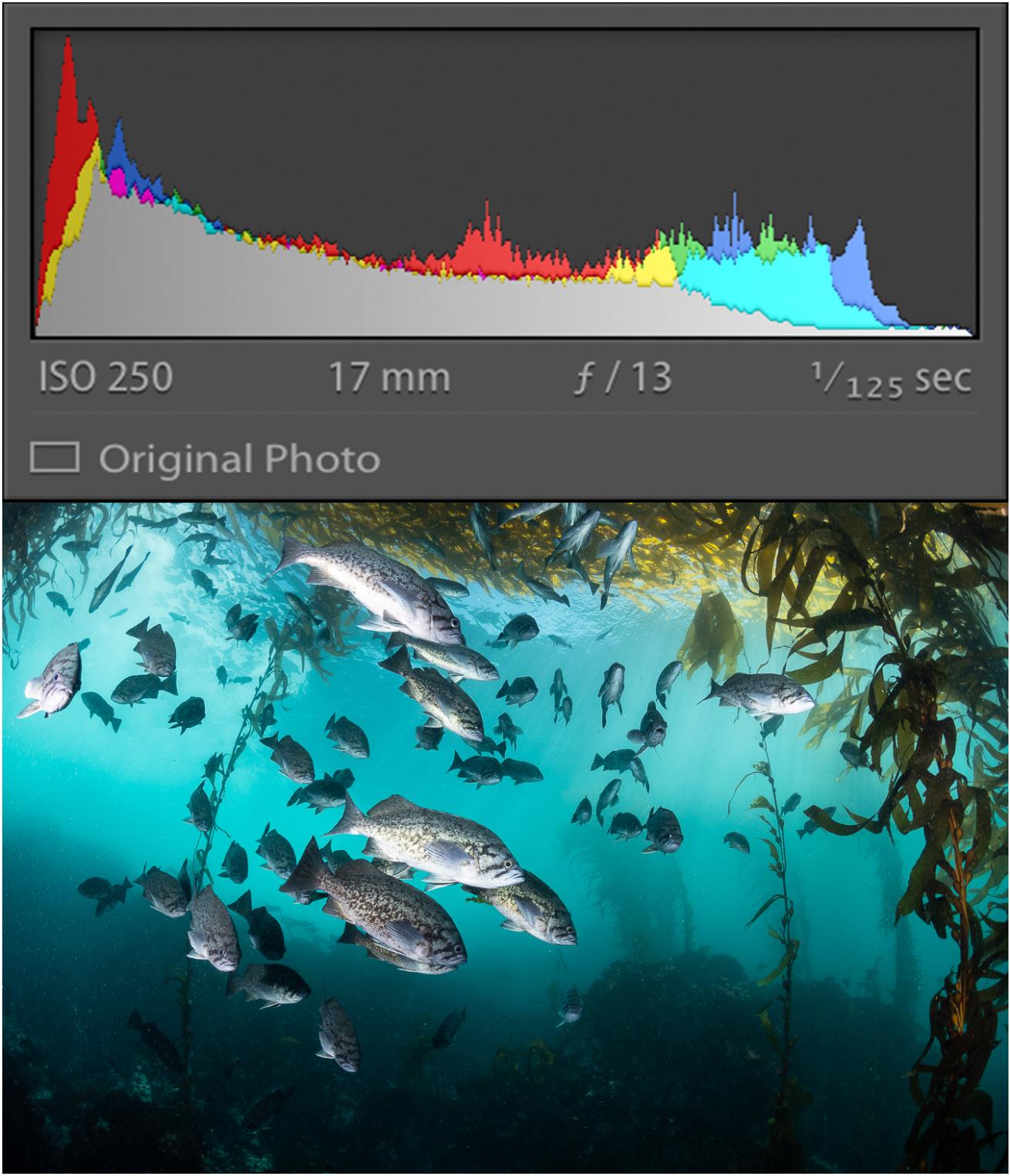 Understanding Histogram