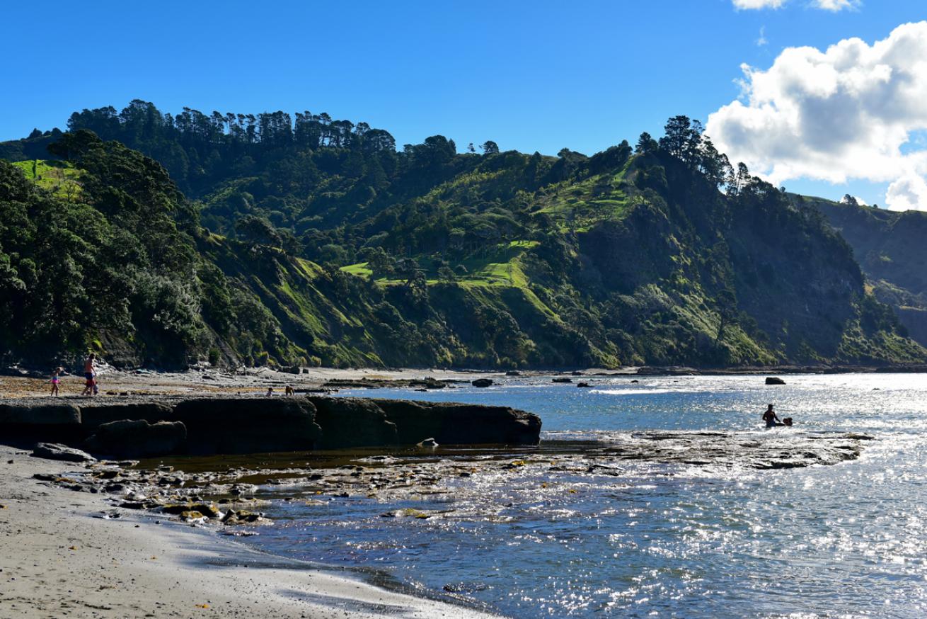 Goat Island Marine Reserve