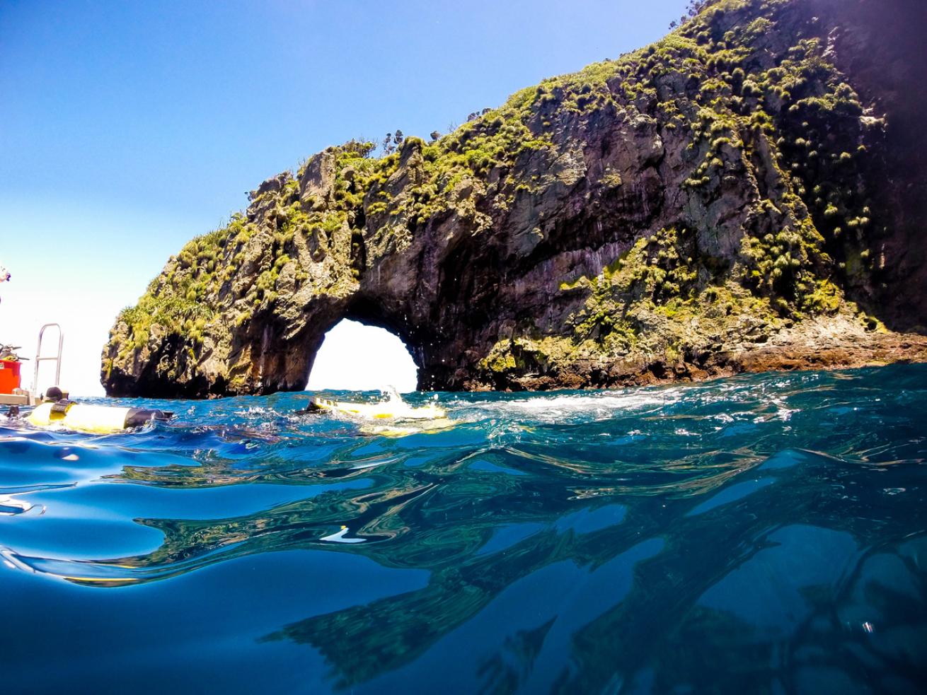 Poor Knights Islands Marine Reserve