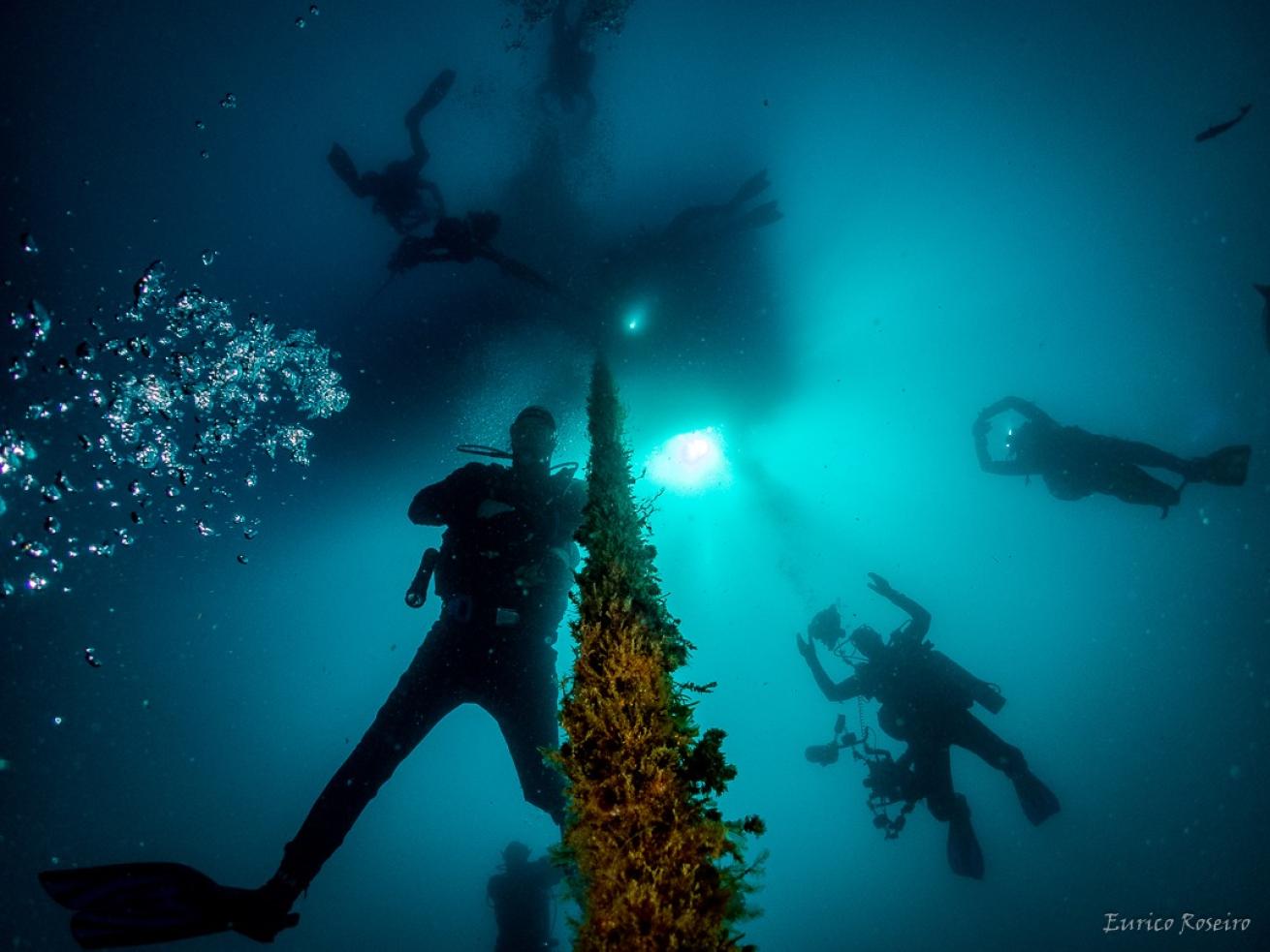 Berlengas Archipelago Scuba Diving in Lisbon