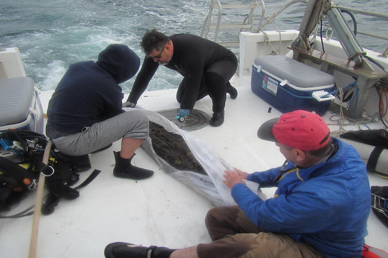 Researchers on a boat with a log
