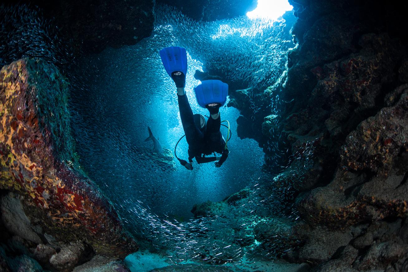 Diver swims away
