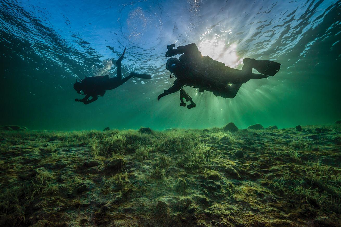 Divers hover in Lake Mohave