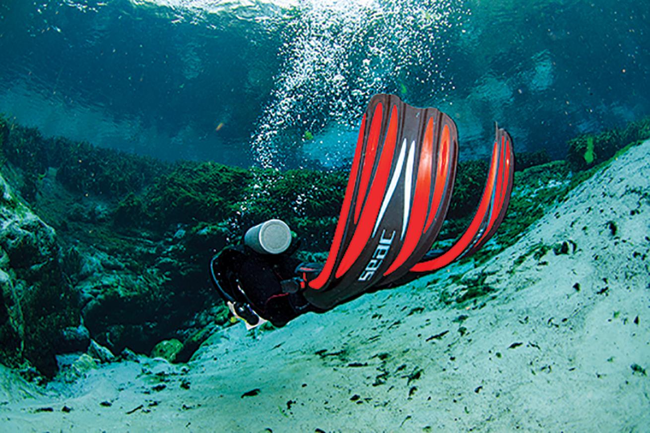 Fins fill half the frame as a diver swims away.