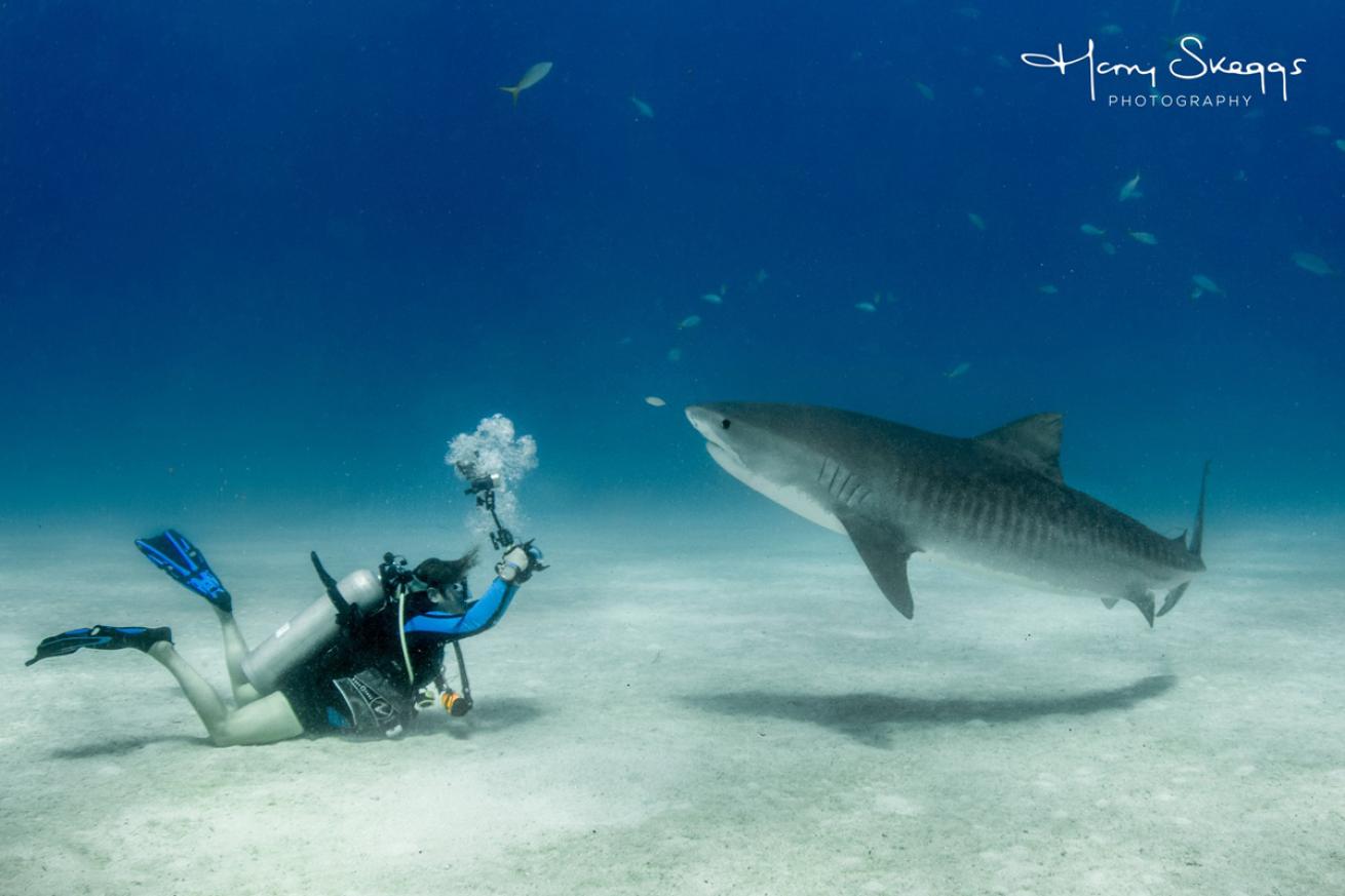 Samantha Whitcraft with Tiger Shark