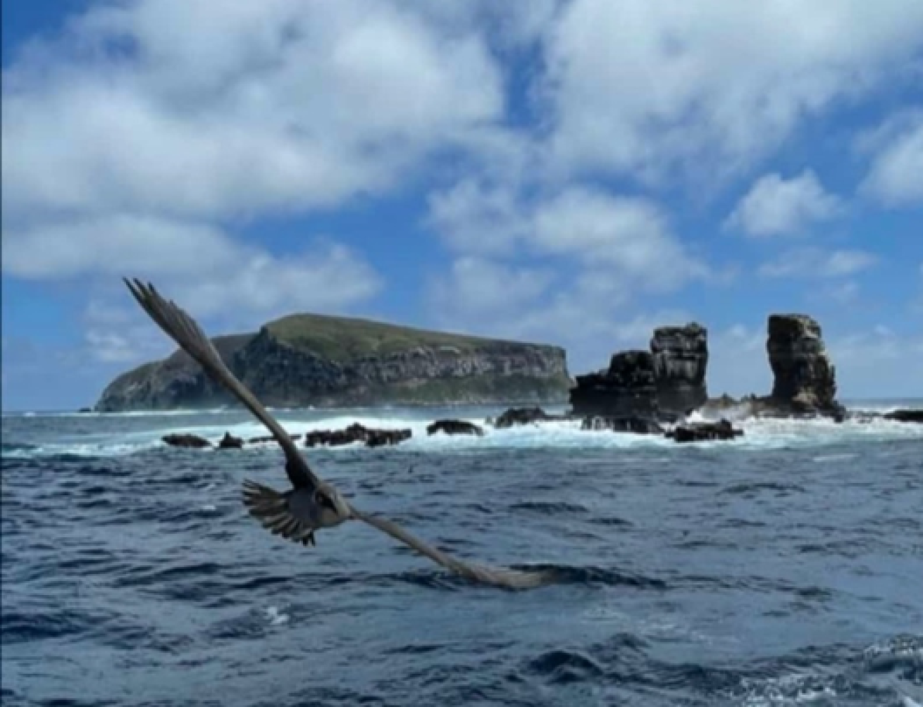 Collapsed Darwin's Arch