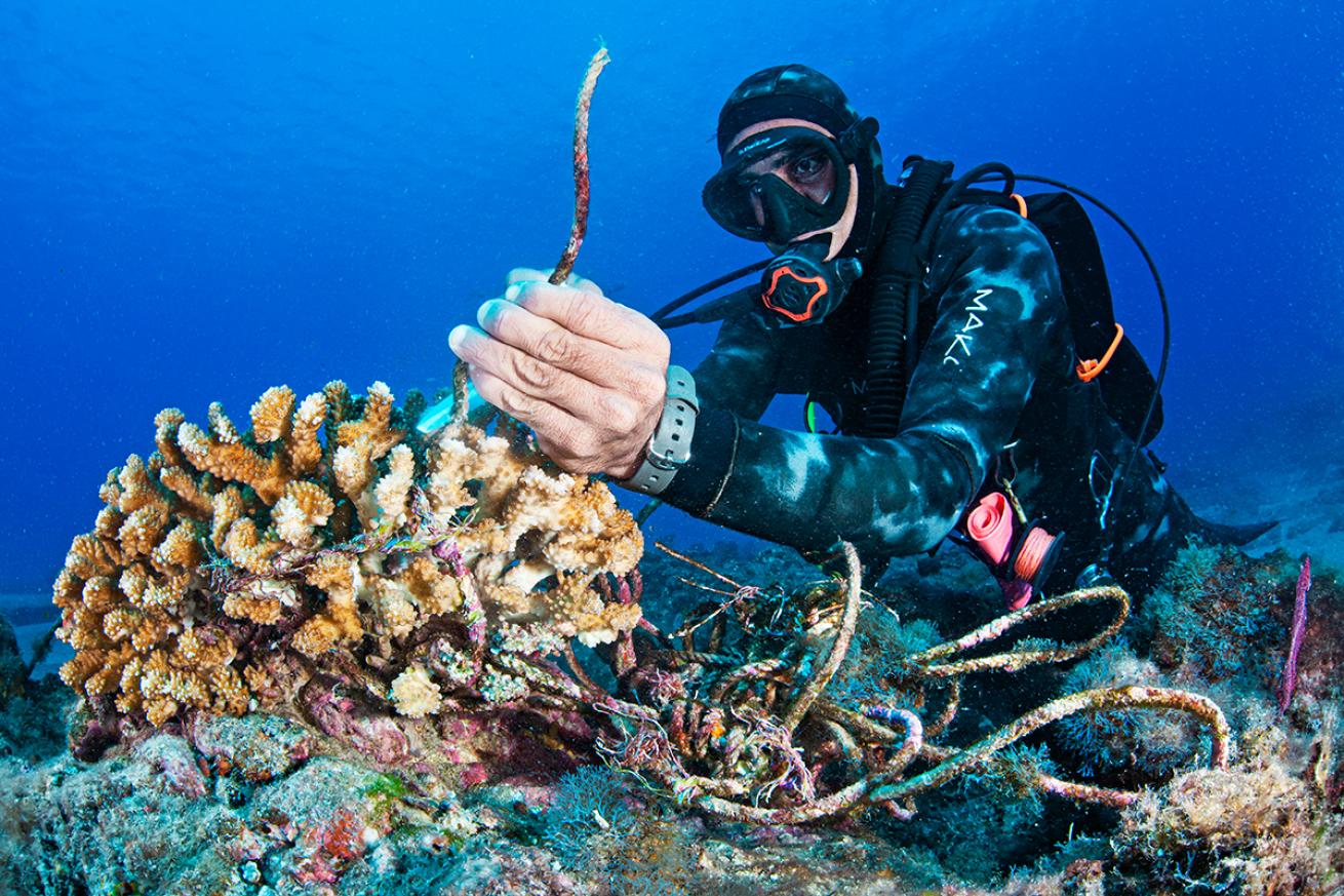 Diver with coral