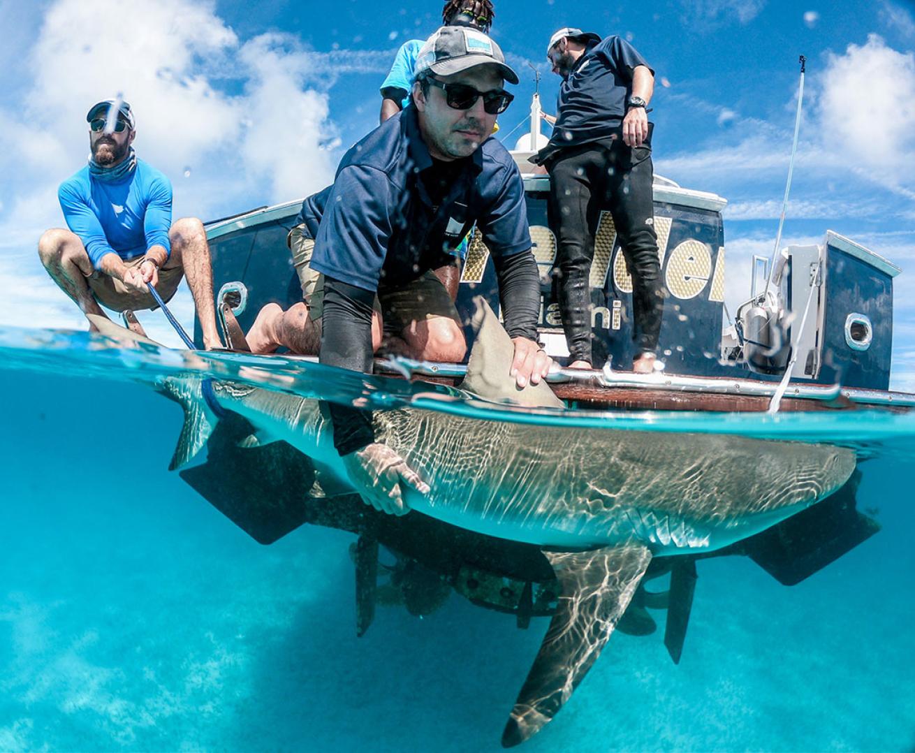 Austin Gallagher with Reef Shark