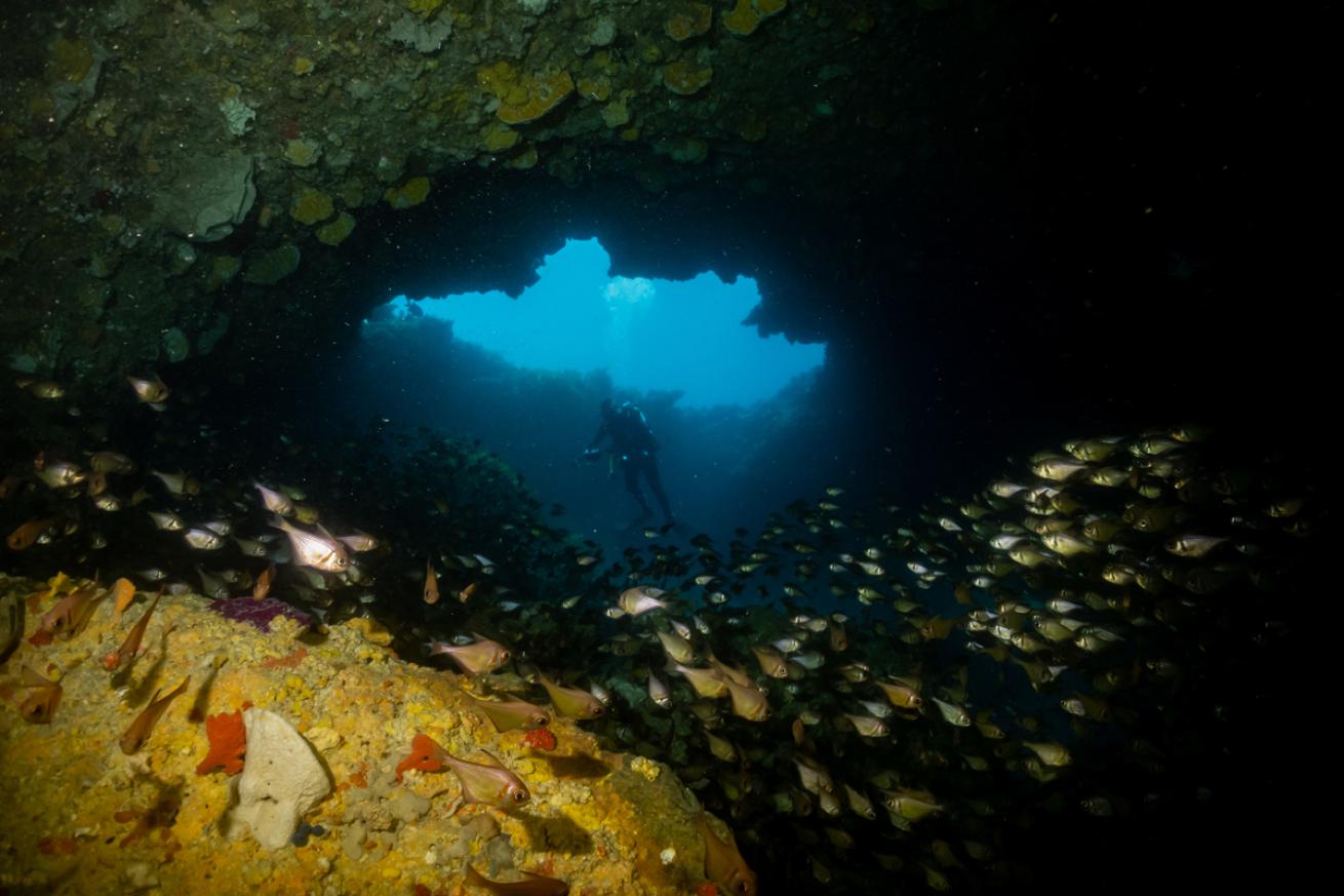 Opera House Dive Site Rottnest Island Australia