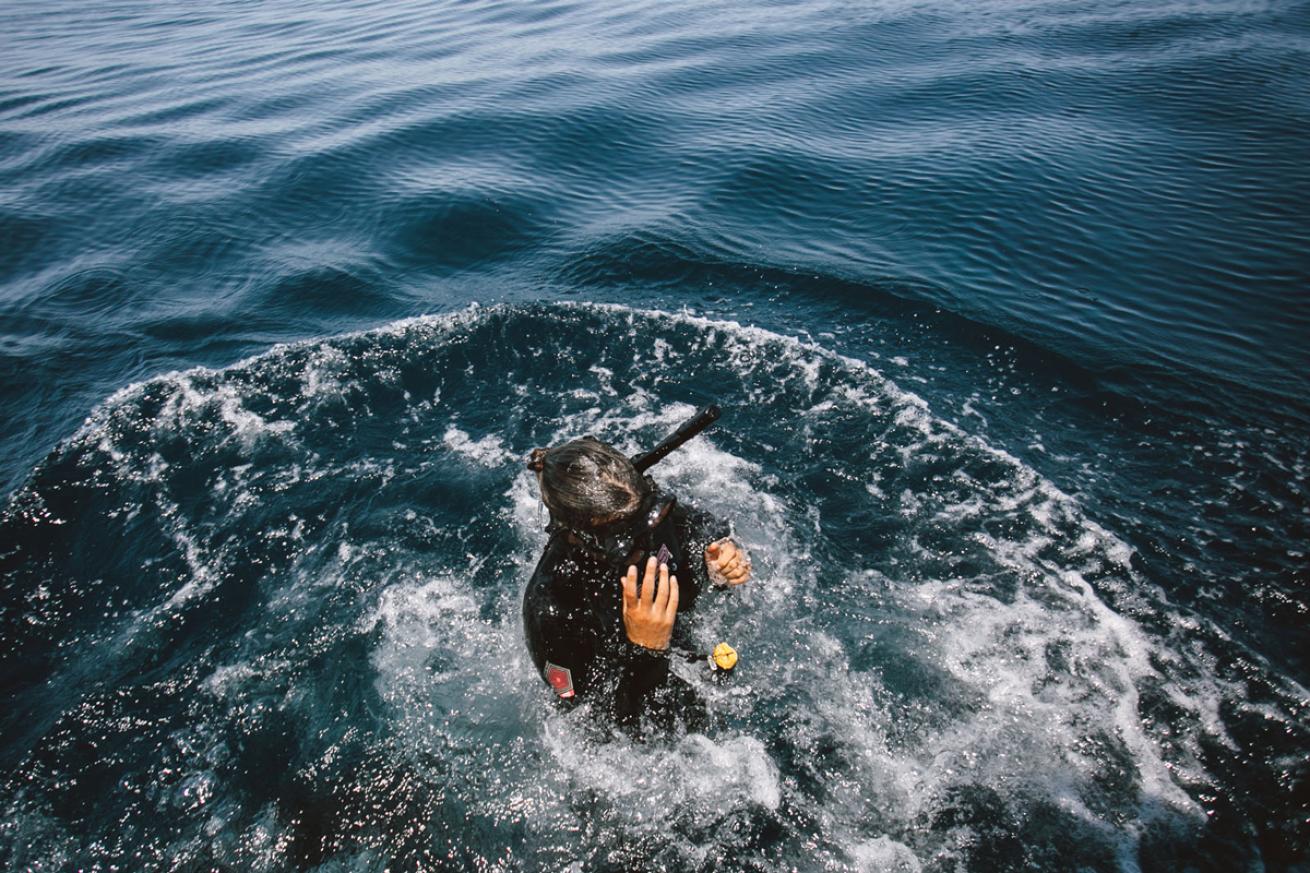 Snorkeler Mobula Rays