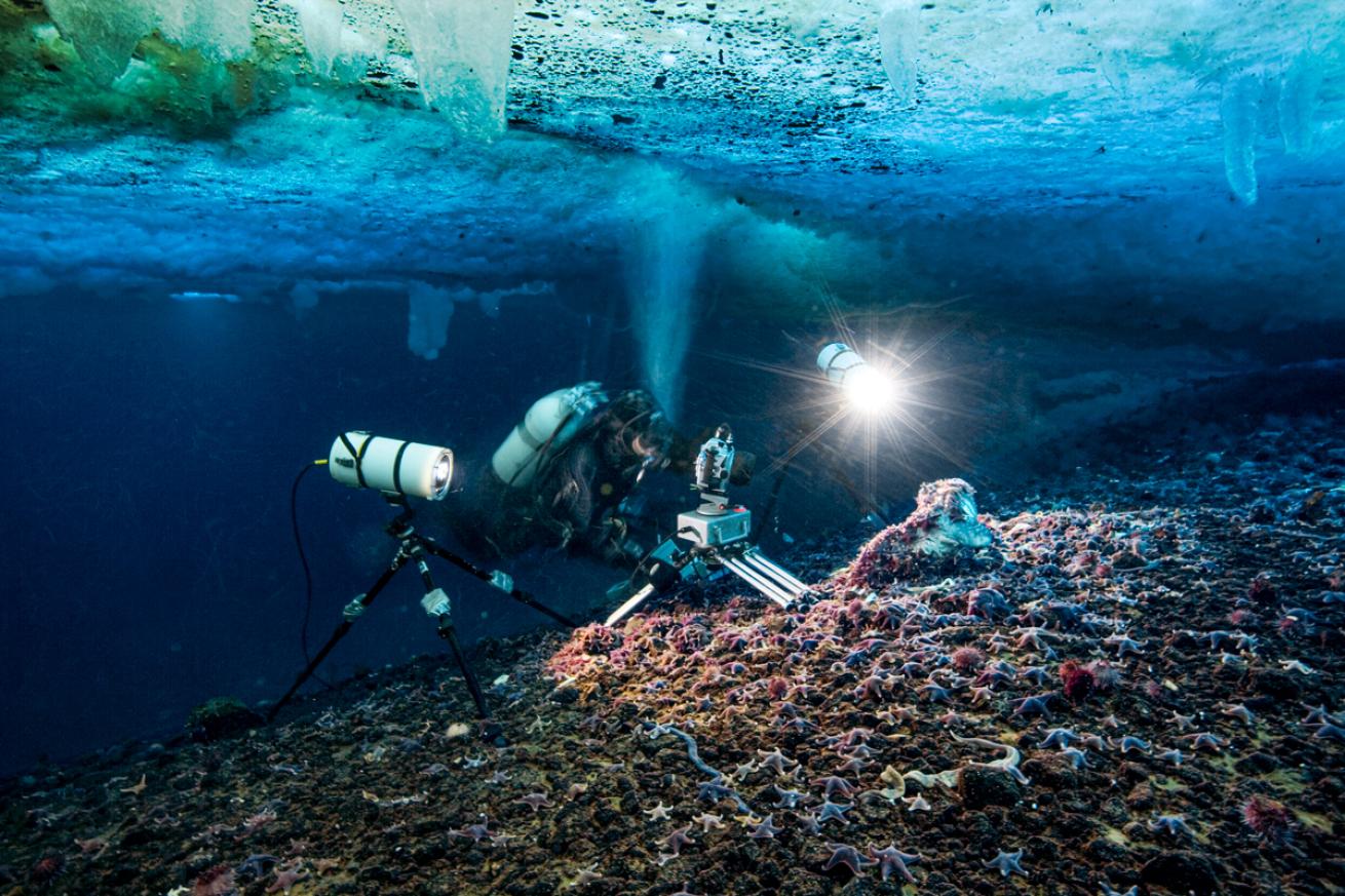 Videographer Films Ross Sea