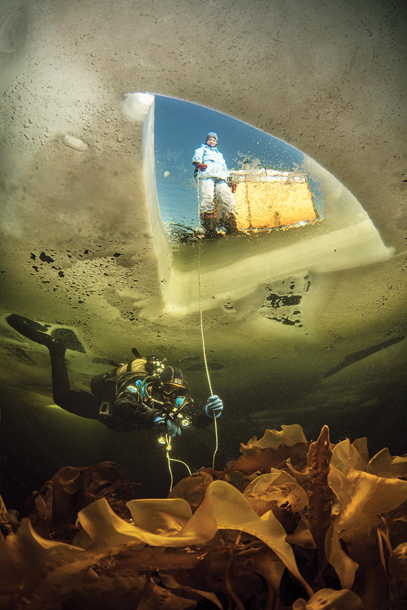 Diver under hole cut in ice