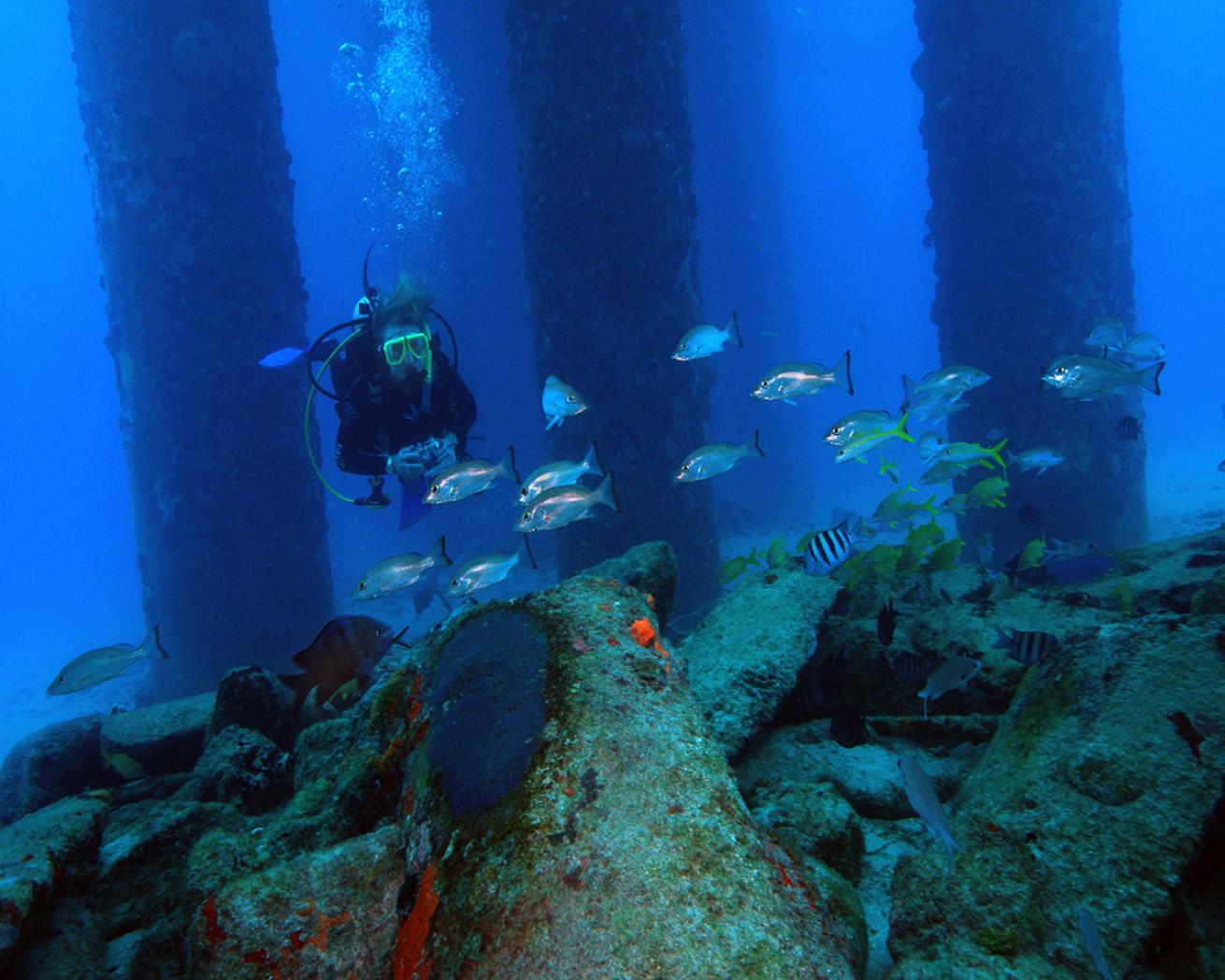 Diver beneath Frederiksted Pier in St. Croix