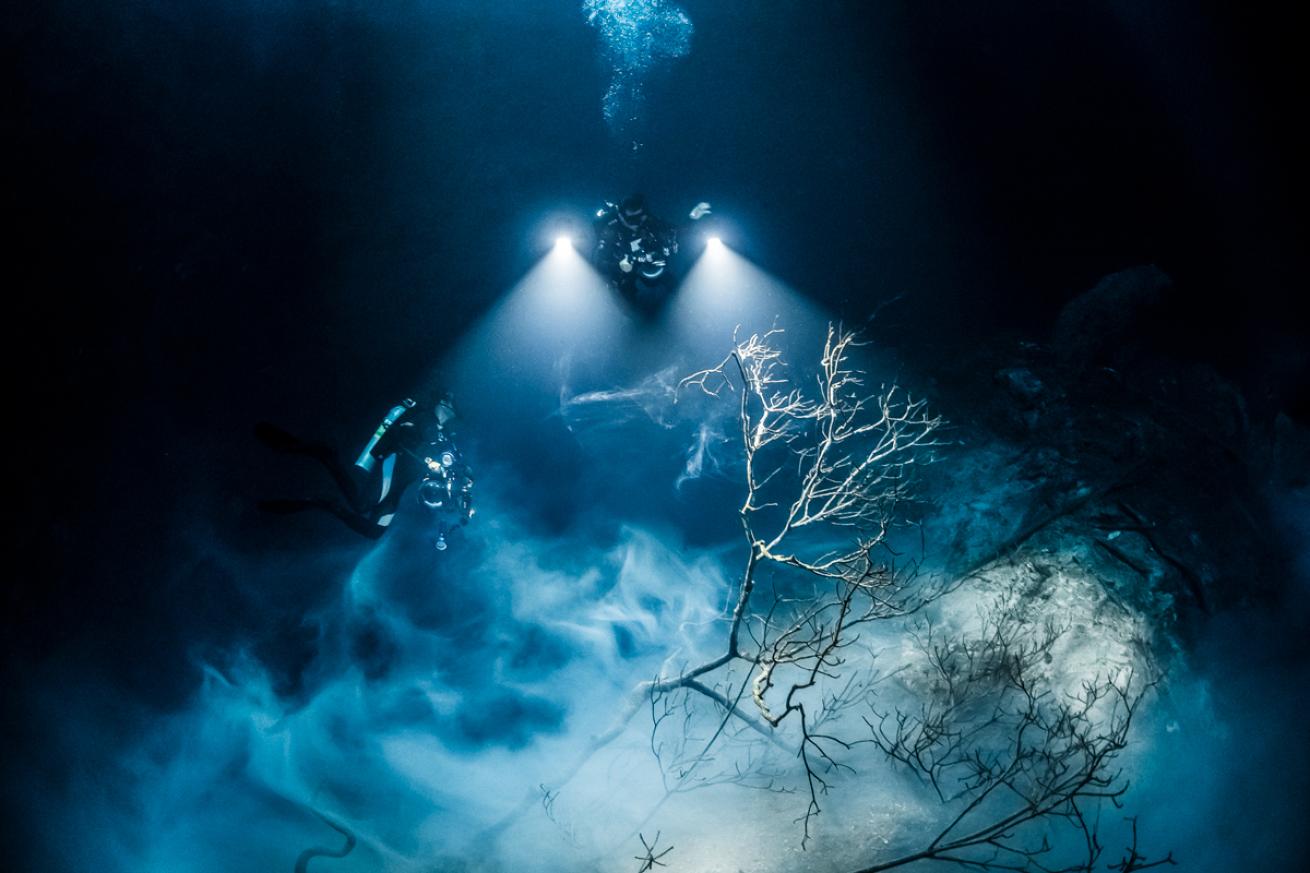 Riviera Maya cenote diving