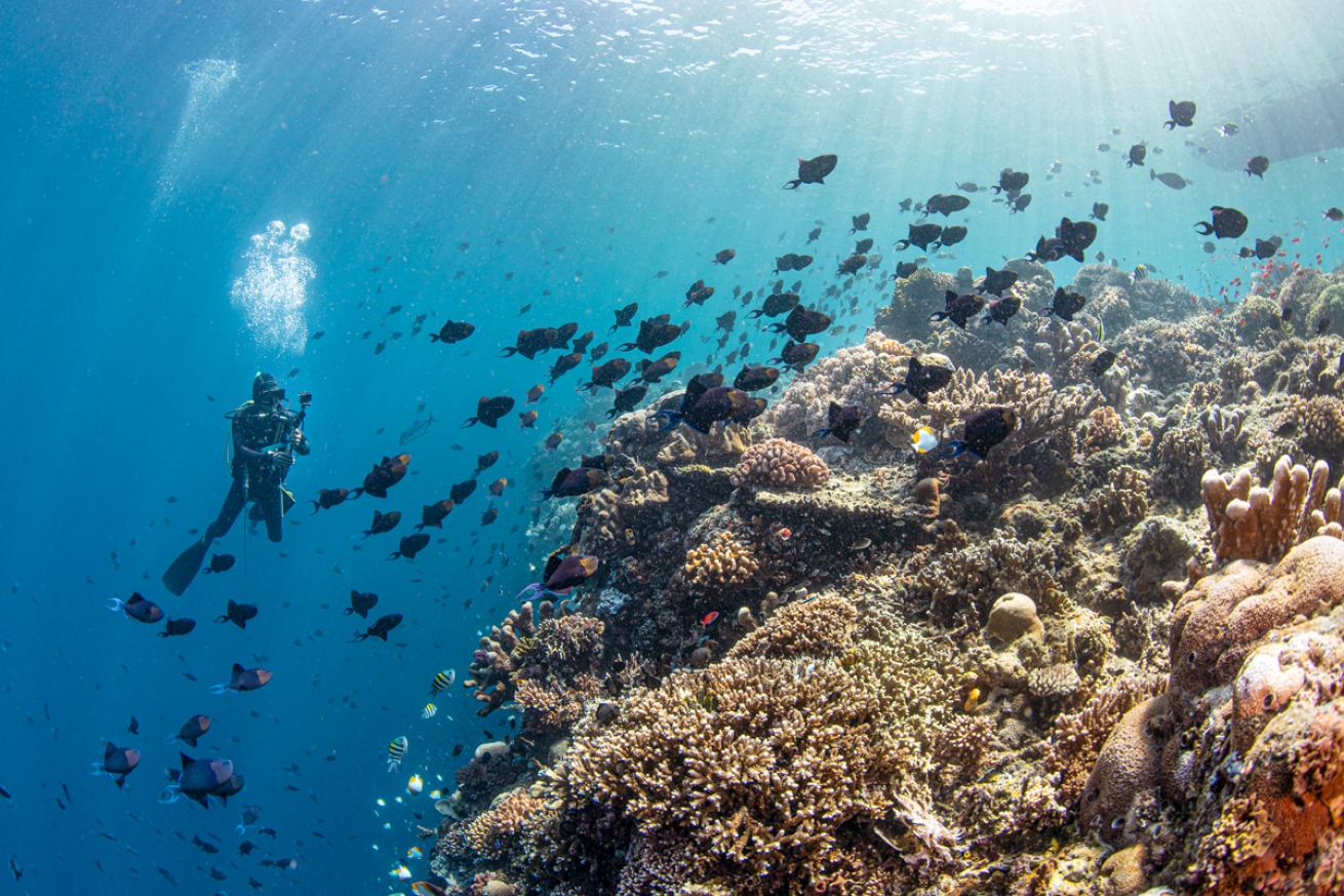 annie-crawley-bunaken-national-park.scubadivingmagazine.december2021