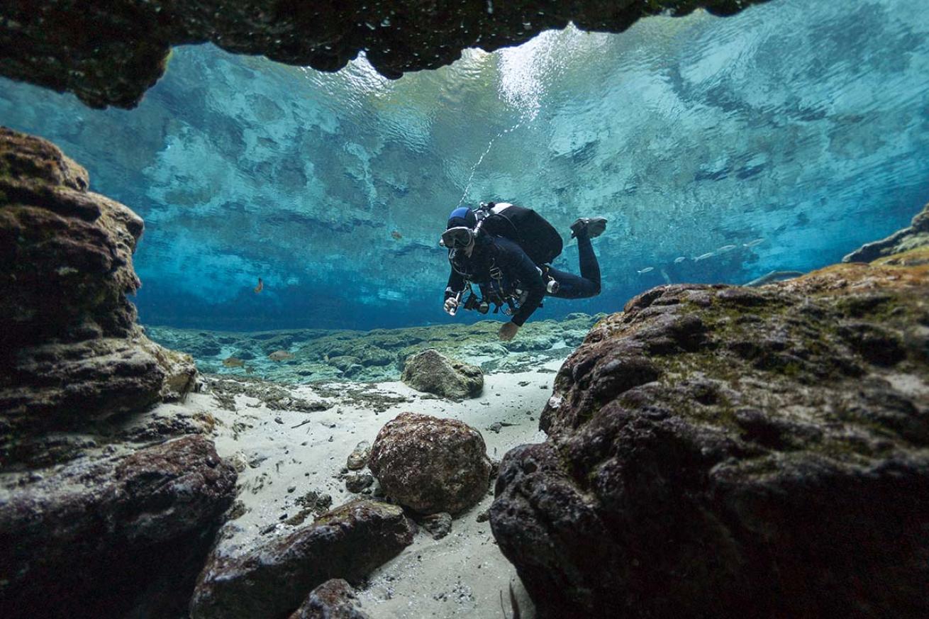 Ginnie springs diver