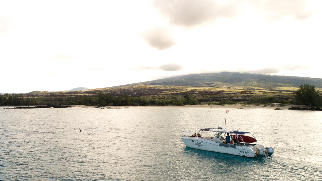 Kona Honu Divers