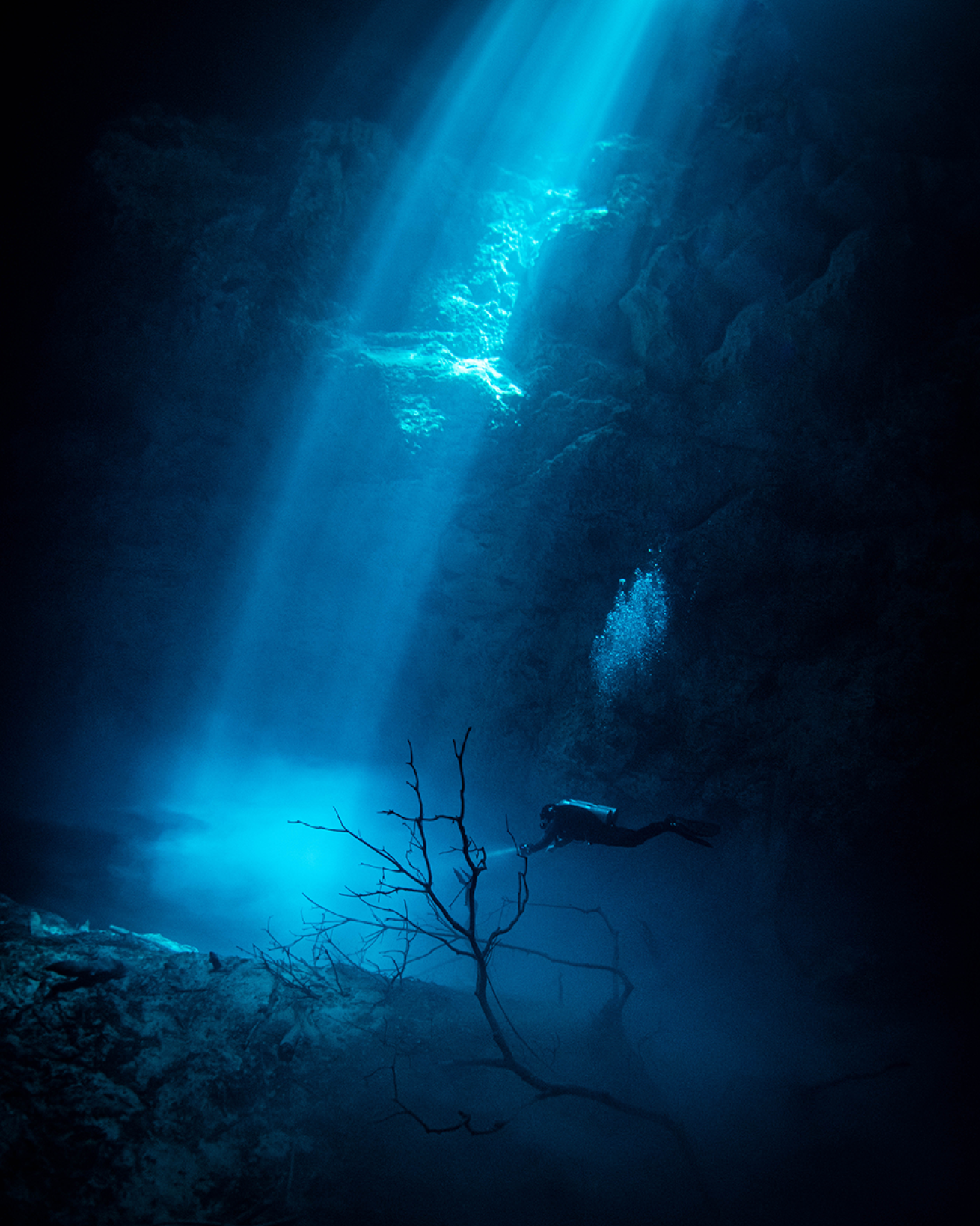 Diver in cenote