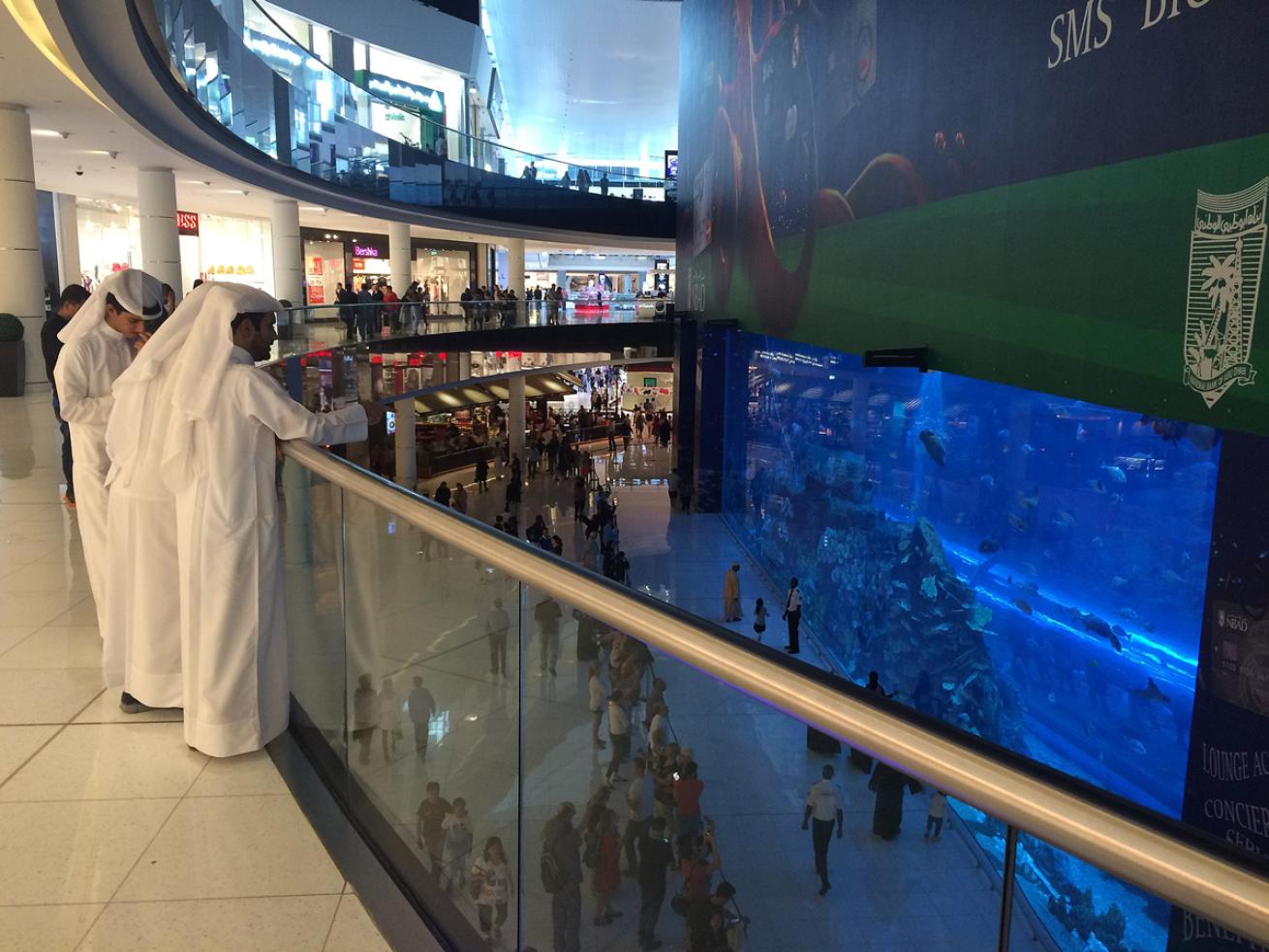 Dubai Mall Scuba Diving