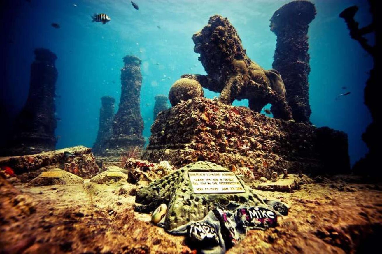 Neptune Memorial Reef