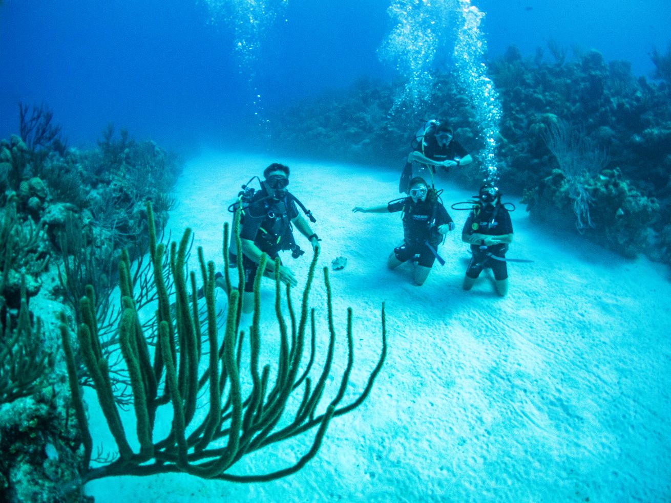 Turks & Caicos