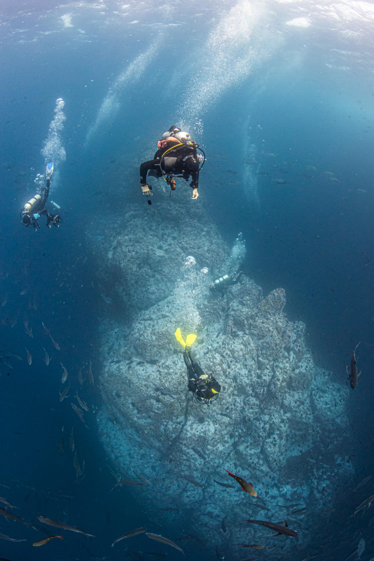 annie-crawley-malpelo.scubadivingmagazine.april2022