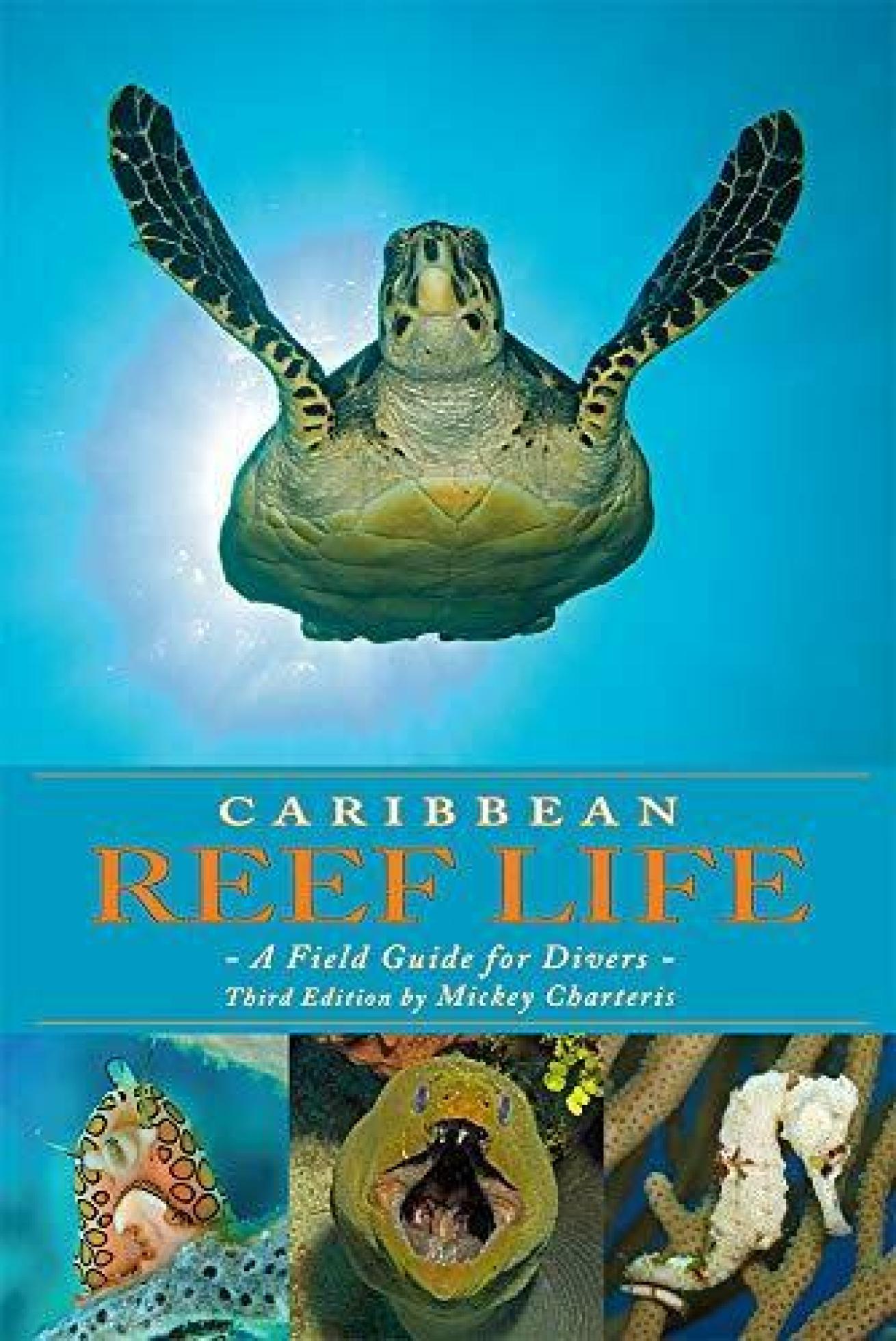 Caribbean Reef Life cover