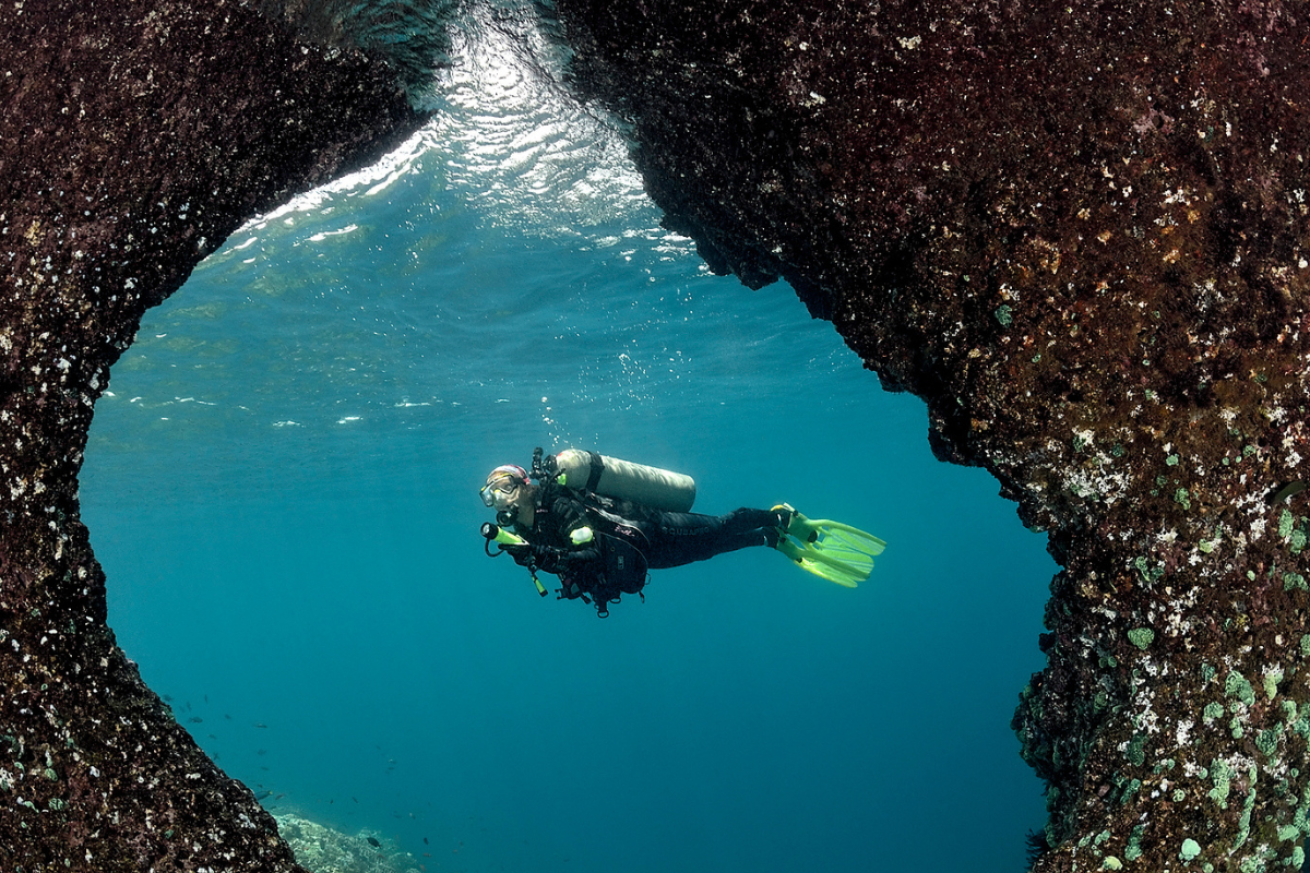 A scuba diver under water