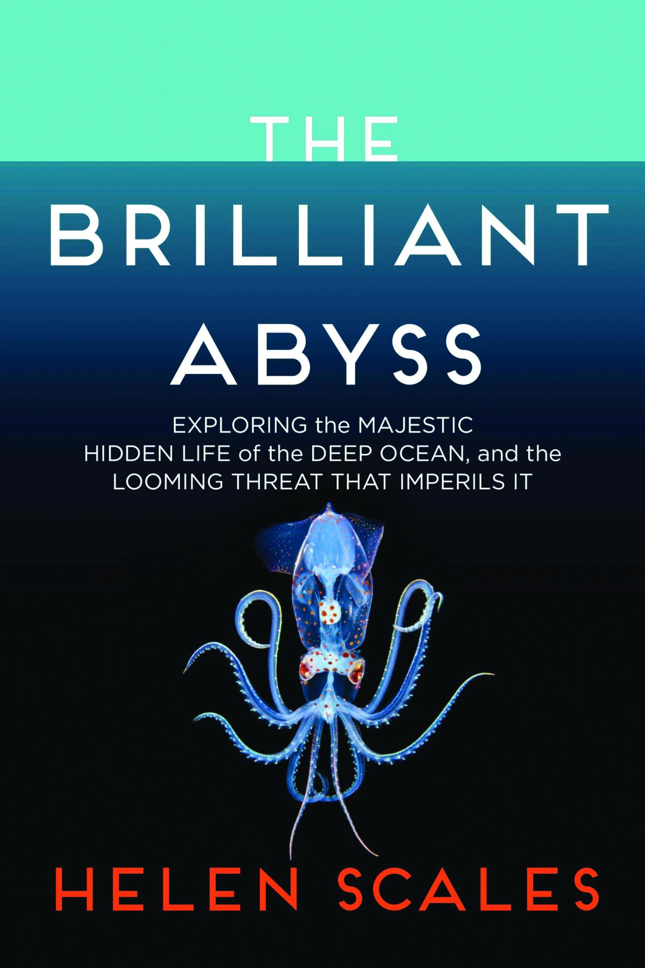 The Brilliant Abyss cover