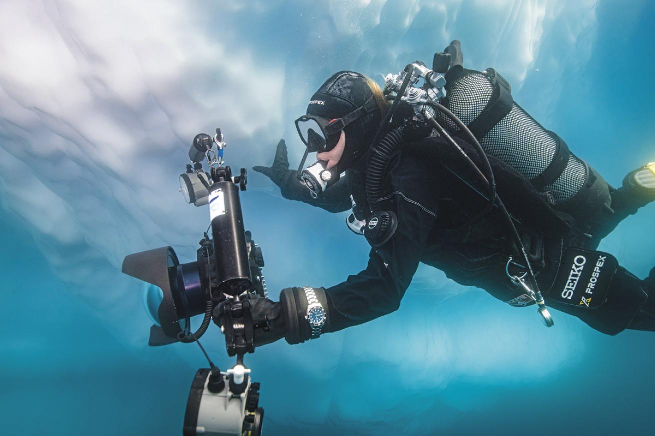 Diver touching ice berg