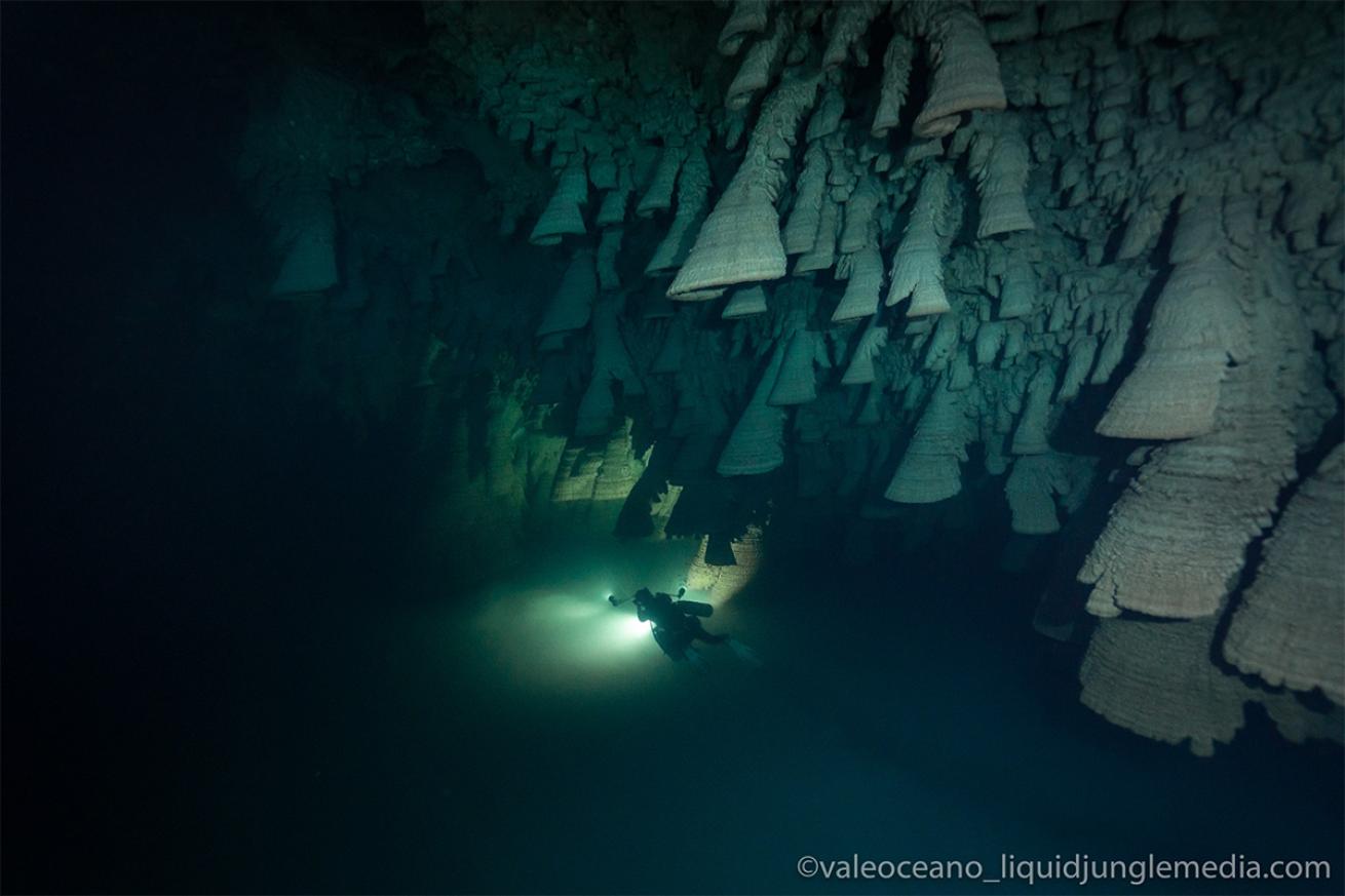 Diver by Hells Bells