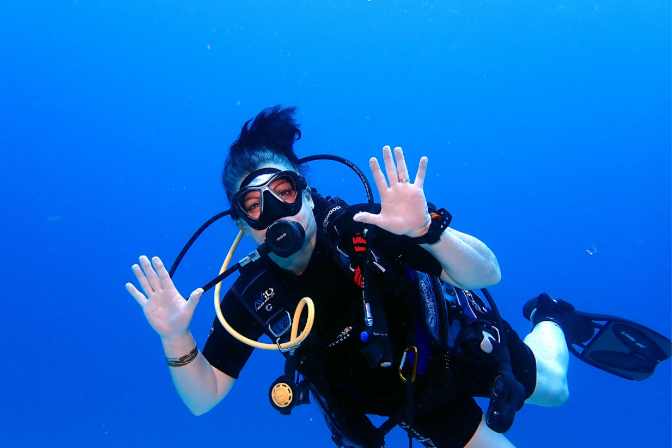 Diver in the water