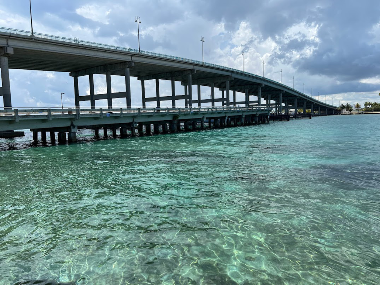 Blue Heron Bridge