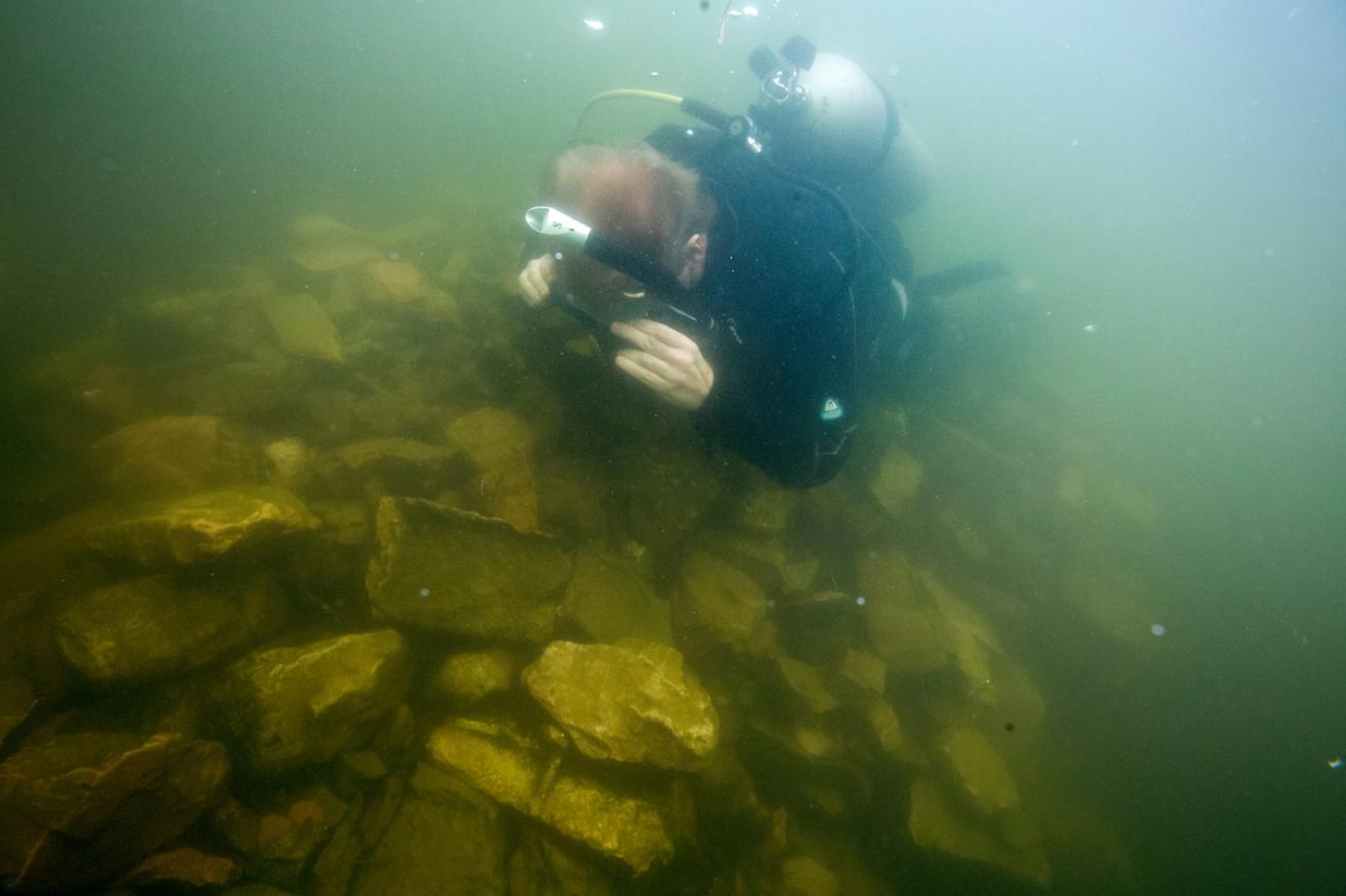 Diver in the ocean looking at the sea floor.